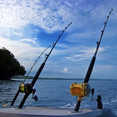 Как выбрать маховую удочку для рыбалки с берега: советы и рекомендации