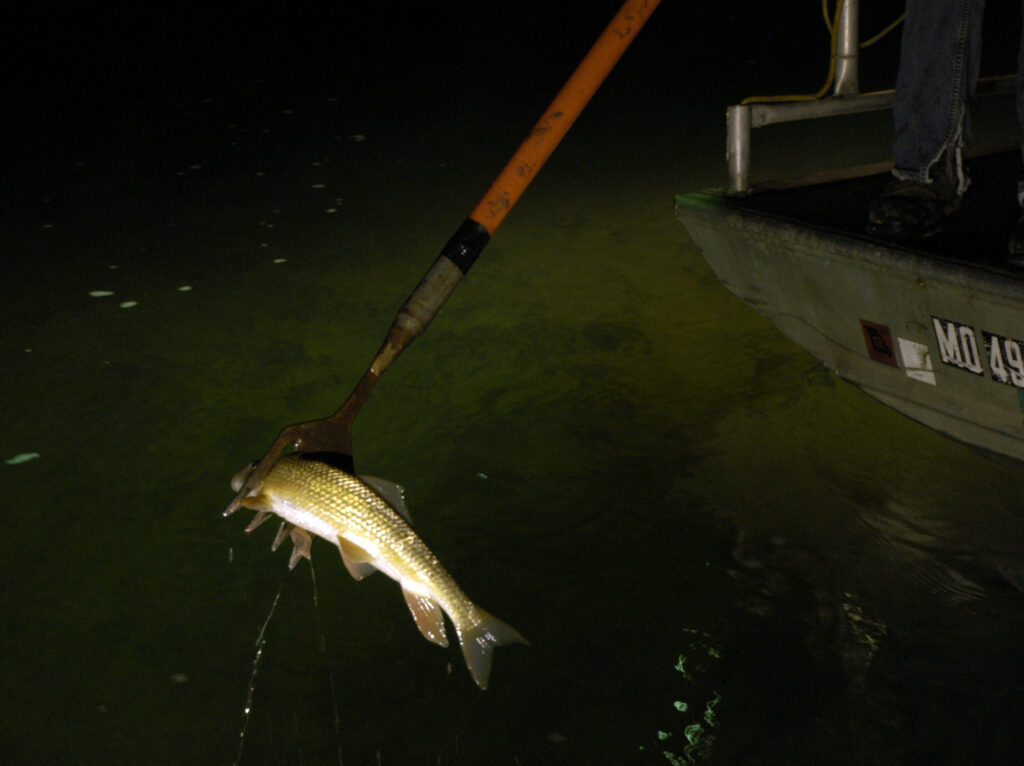 Особенности ночной рыбалки