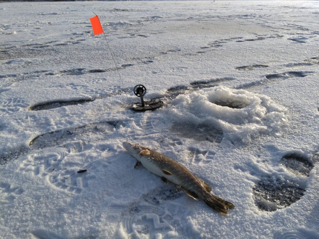 Снасти для зимней рыбалки